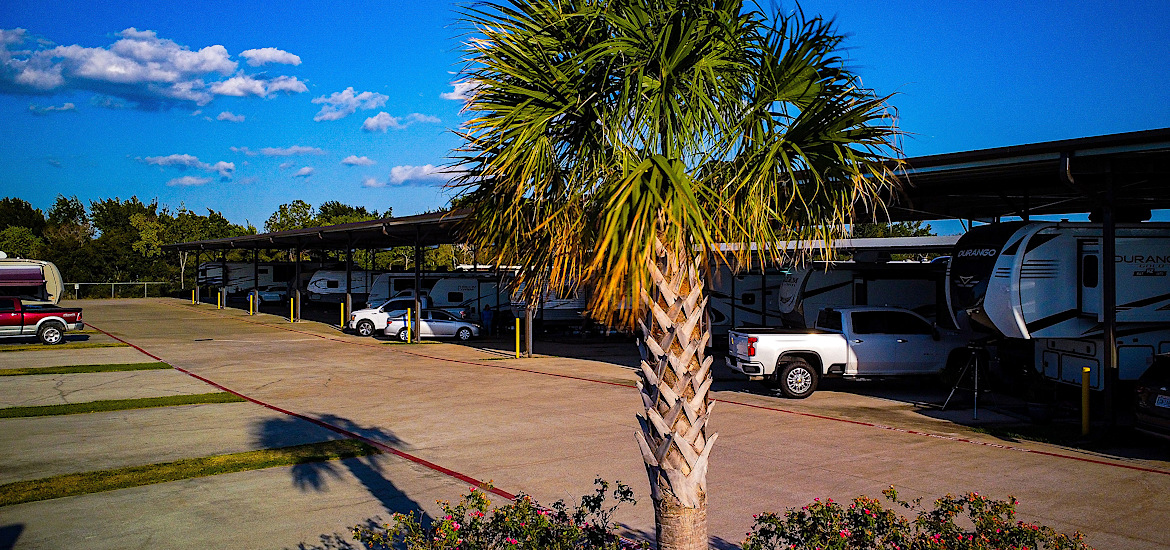 Shaded RV sites and Palm Tree